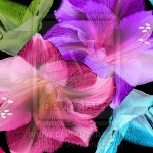 Meet your Posher, Margaret