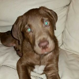 Meet your Posher, Selena