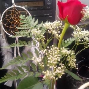 Meet your Posher, Michele