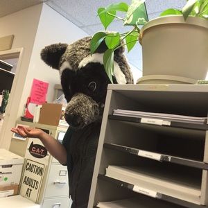 Meet your Posher, Jayne