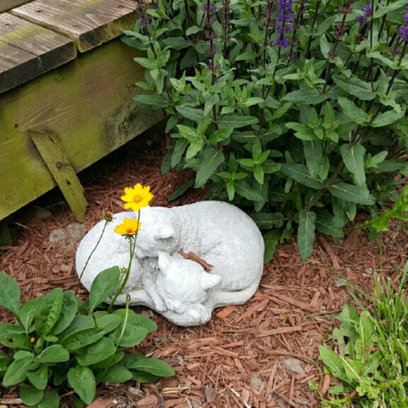 Meet your Posher, Michelle - Picture 1 of 1