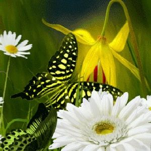 Meet your Posher, Katty