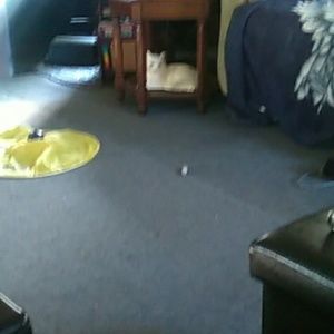 Meet your Posher, Roberta