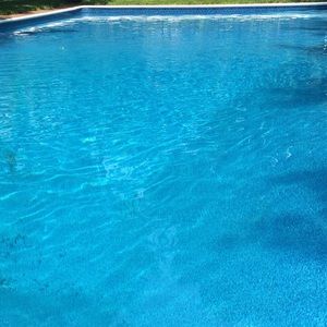 Meet your Posher, Ally