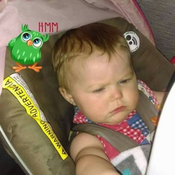 Meet your Posher, Sue