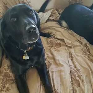 Meet your Posher, Carrie