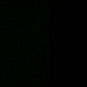 Meet your Posher, Jesse