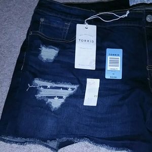 Torrid 5" shorts