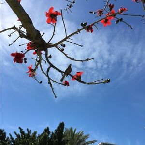 Meet your Posher, Stephen