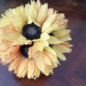 Meet your Posher, Lourdes