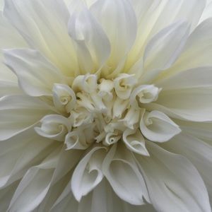 Meet your Posher, Drew