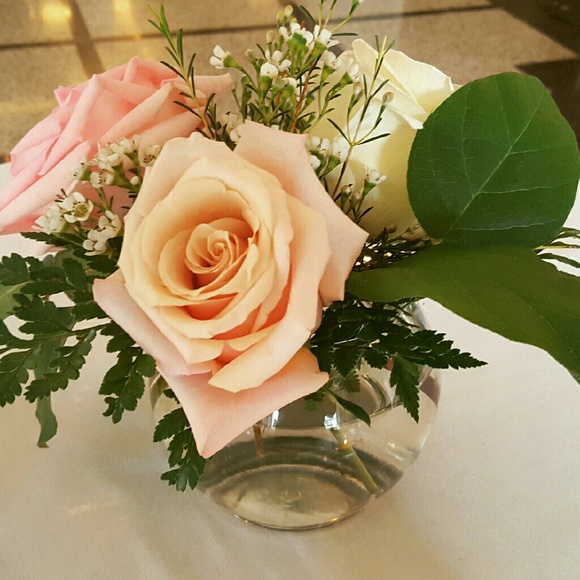 Meet your Posher, Julie