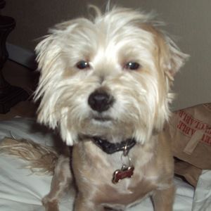 Meet your Posher, Vicky