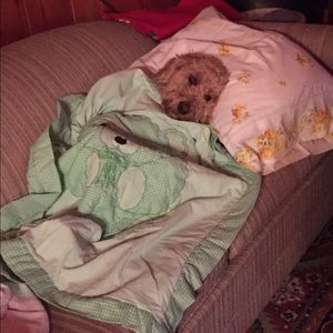 Meet your Posher, Katelyn