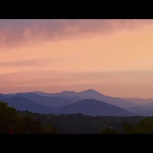 Meet your Posher, Sylvia