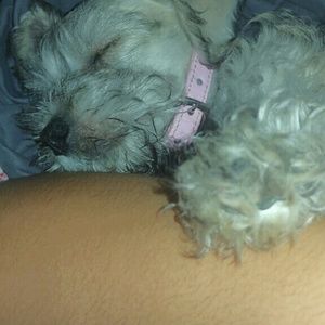 Meet your Posher, Violeta