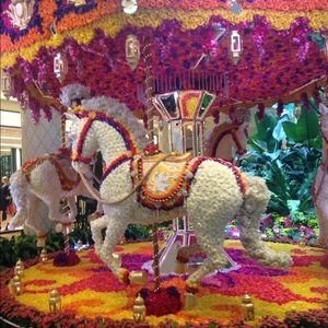 Meet your Posher, Micaela