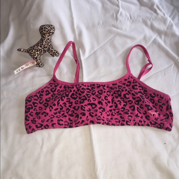VS Pink sports bra (with plush dog!)