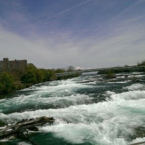 Meet your Posher, Patricia