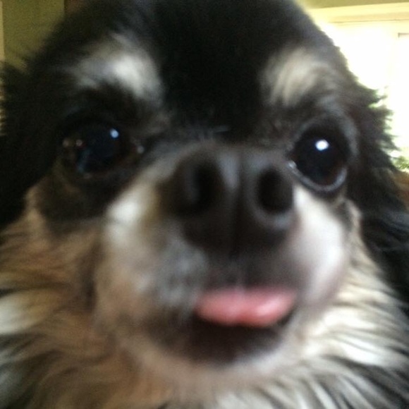 Meet your Posher, Renee - Picture 3 of 8