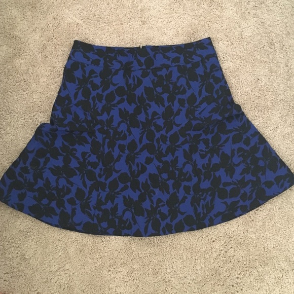 Express Skirt