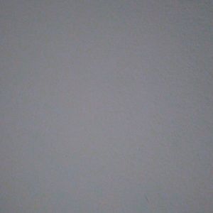 Meet your Posher, Juli