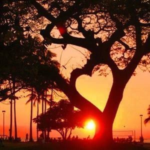 Meet your Posher, Cheryle