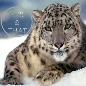 Meet your Posher, Joyce