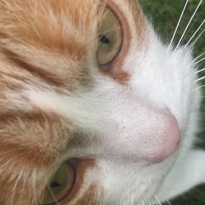 Meet your Posher, Hailey