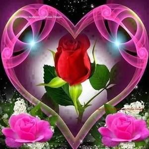 Meet your Posher, Marta