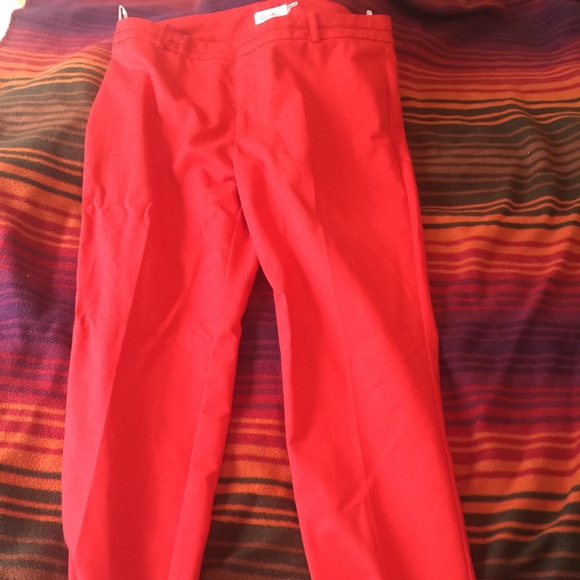 Size 12 p Calvin Klein pants