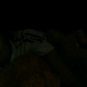 Meet your Posher, Priscilla