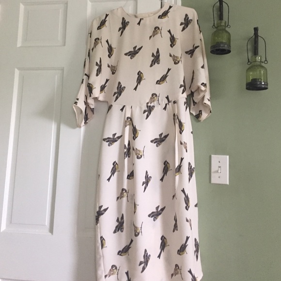 Knee length dress with bird design