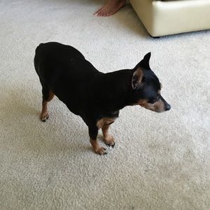 Meet your Posher, Jeanette