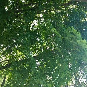 Meet your Posher, Molly