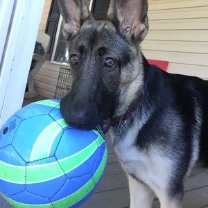 Meet your Posher, Rhonda