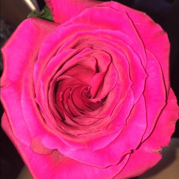 Meet your Posher, Camryn