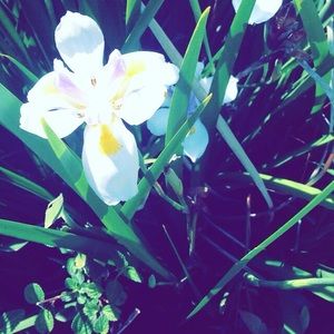 Meet your Posher, Carly