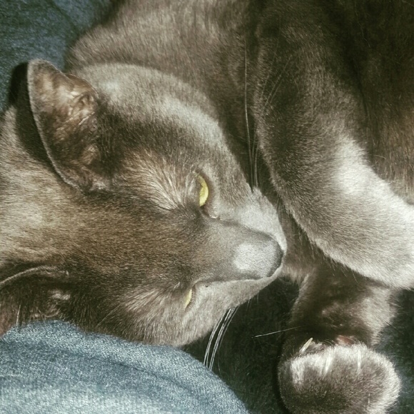 Meet your Posher, Brianna - Picture 1 of 1