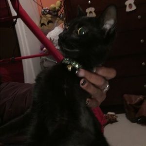 Meet your Posher, Sheila