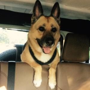 Meet your Posher, Paula