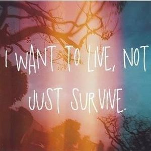 Meet your Posher, Dixie