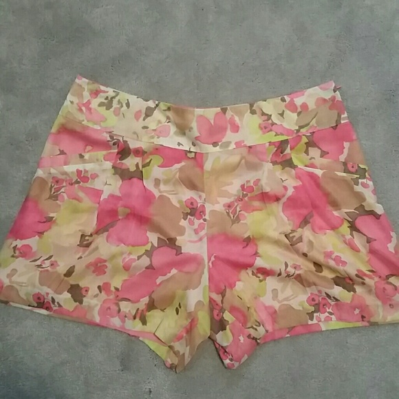 LOFT Pants - DONATED NWT Gorgeous LOFT Shorts sz 14