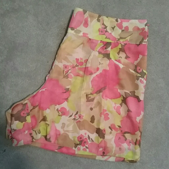 DONATED NWT Gorgeous LOFT Shorts sz 14 - Picture 2 of 4