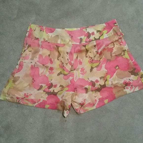 DONATED NWT Gorgeous LOFT Shorts sz 14 - Picture 3 of 4