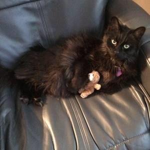 Meet your Posher, Debbie