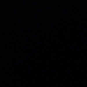 Meet your Posher, Hallie