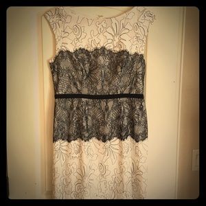 Limited Scandal Dress