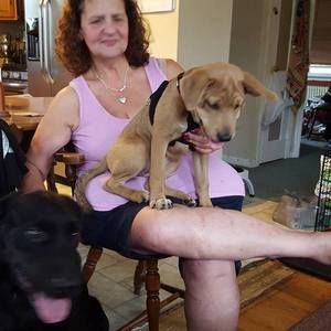 Meet your Posher, Anne