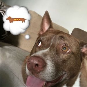 Meet your Posher, Courtney